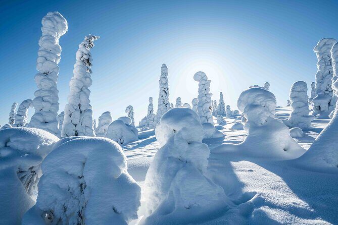 Riisitunturi wilderness adventure - Price and value: what $205.84 covers