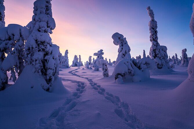 Riisitunturi wilderness adventure - Gear, boots, and staying comfortable in the cold