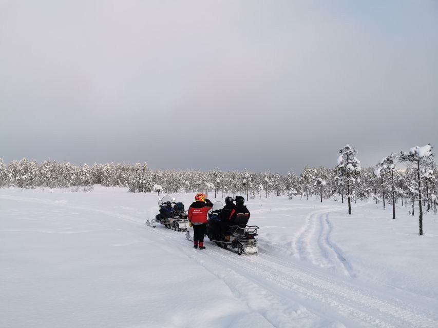 Rovaniemi: 3-Hour Snowmobile Safari in Lapland - Photo stops: how to get better shots without slowing the group
