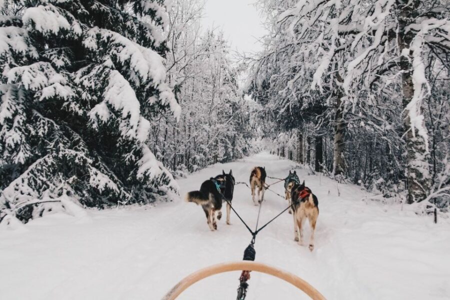 Rovaniemi: Apukka Husky Adventure - Getting to Apukka: pickup timing that actually matters