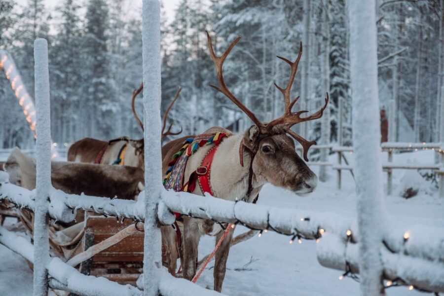 Rovaniemi: Apukka Reindeer Journey - Getting There: Pickup From Rovaniemi and Santa Claus Village