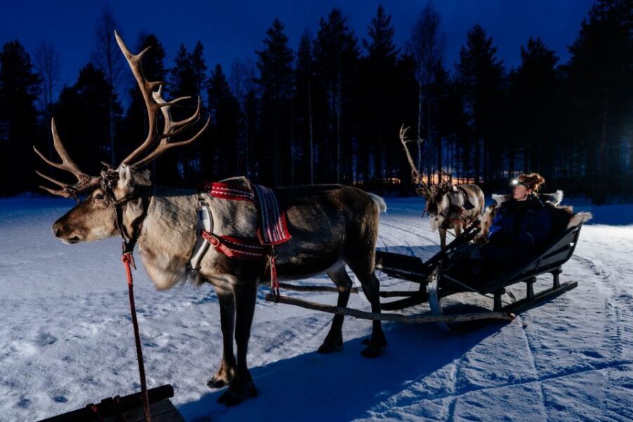 Rovaniemi: Apukka Reindeer Sleigh Ride at Night - Key highlights you’ll care about