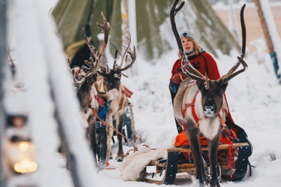 Rovaniemi: Apukka Reindeer Sleigh Ride at Night - Rovaniemi at Night: Why This Apukka Sleigh Ride Feels Different