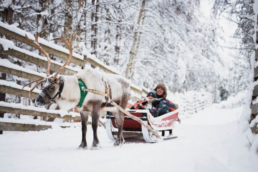 Rovaniemi: Arctic Circle Highlights by Snowmobile - Lunch: traditional salmon soup (and what to do for picky eaters)