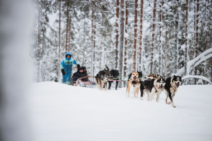Rovaniemi: Arctic Circle Highlights by Snowmobile - Getting there on time: meeting points and pickup basics