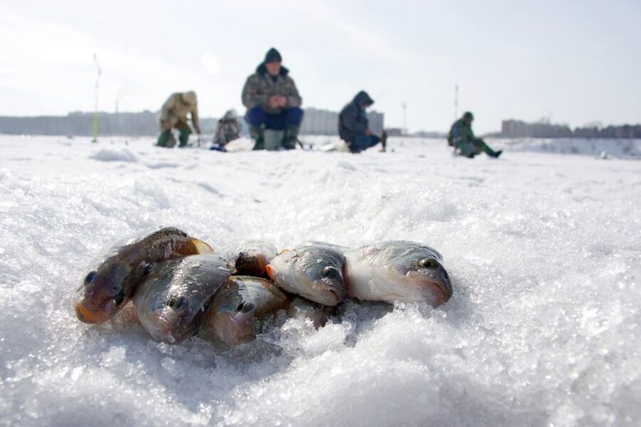 Rovaniemi: Arctic Circle Ice Fishing Experience - How long is it, and how the timing affects the day