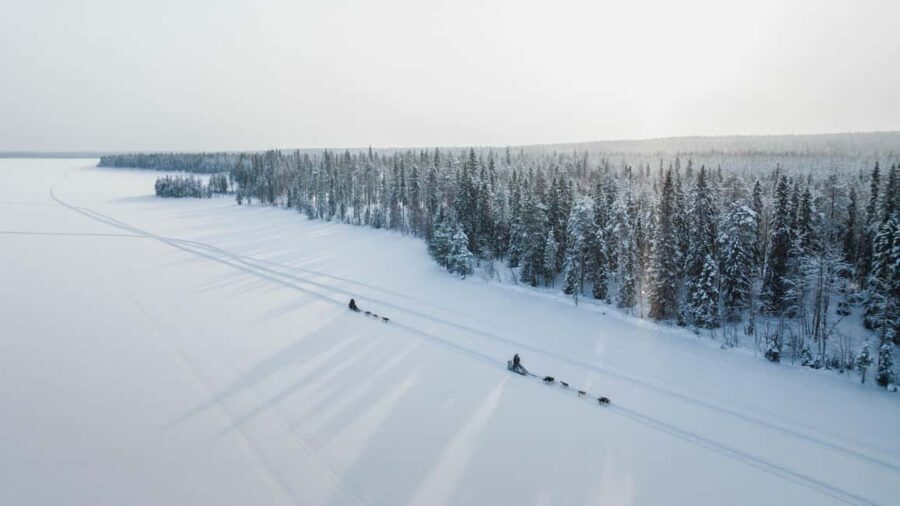 Rovaniemi: Arctic Circle Long Trail Husky Adventure - Where You’ll Start: Santa Claus Village or the City Office