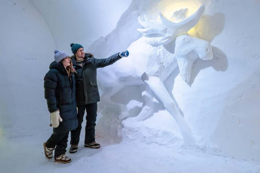 Rovaniemi: Arctic Snow Hotel Tour - Sledding at the lakeside hill: kick sledding and tobogganing