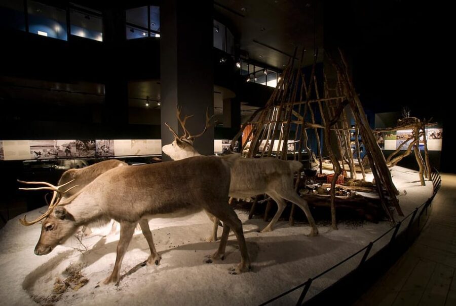 Rovaniemi: Arktikum Science Centre and Museum Entry Ticket - Arktikum shop and souvenirs: practical buys from Lapland