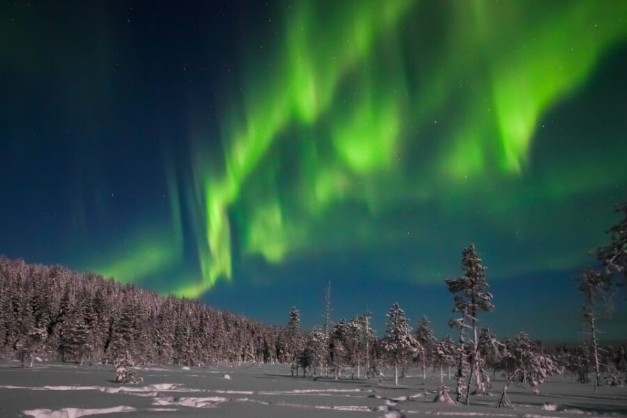 Rovaniemi: Aurora Borealis and Picnic - Group size and the experience style: lively, not silent