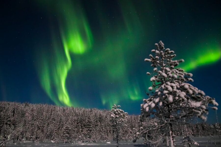 Rovaniemi: Aurora Borealis and Picnic - Winter clothing included: why this is better value than you think