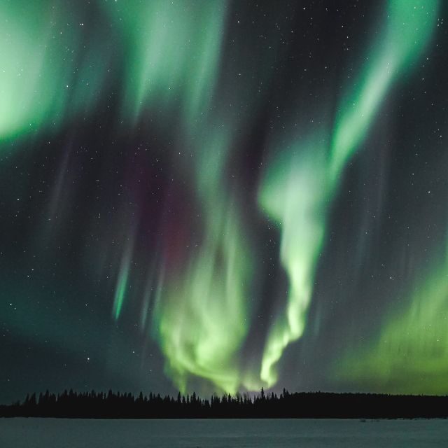 Rovaniemi: Aurora Borealis Hunting Photo Tour - Key highlights worth knowing