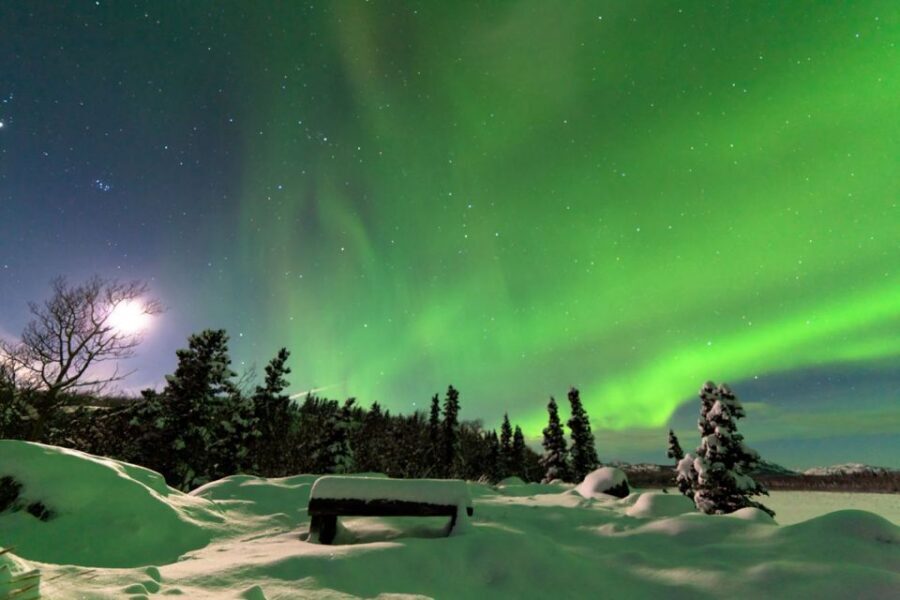 Rovaniemi: Aurora Borealis Snowmobile Safari with Campfire - Key things that make this safari worth your time
