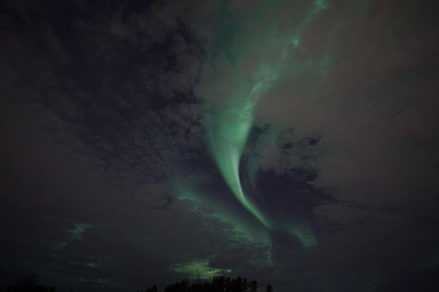 Rovaniemi: Aurora Borealis Tour - Price and value: what $135 buys you at 1 a.m.