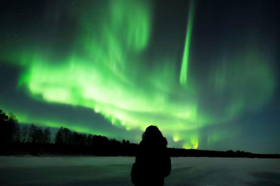 Rovaniemi: Aurora Borealis Trip – Autumn - Campfire Lappish picnic: sausages, hot berry juice, and staying warm