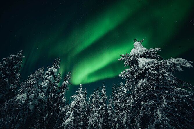 Rovaniemi: Aurora Hunt with Photograph & money back guarantee - Price and value: what $167.74 buys you in practice