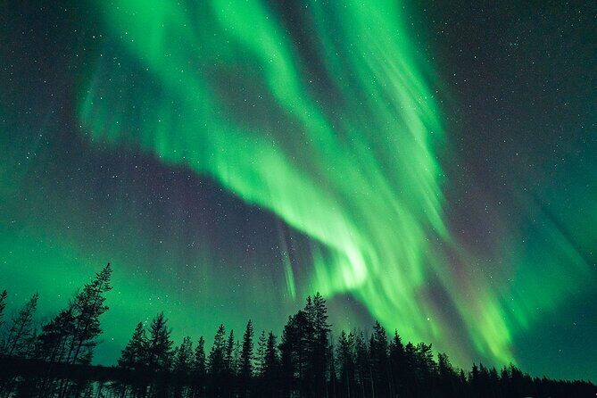 Rovaniemi: Aurora Hunt with Photograph & money back guarantee - Pickup near the center of Rovaniemi: less hassle, more time for the night