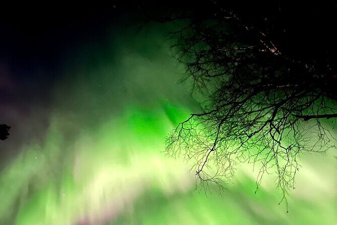 Rovaniemi: Aurora Hunting & Photography Tour - Nighttime Start at Rovakatu 25: Warm Gear and a Clear Plan