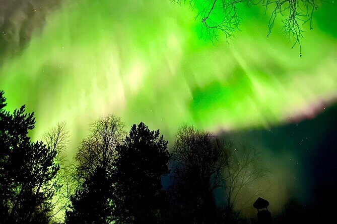 Rovaniemi: Aurora Hunting & Photography Tour - The Bottom Line: Should You Book This Rovaniemi Aurora Tour?