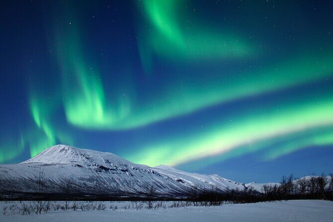Rovaniemi Aurora Hunting Tour - Group size, pickup, and departure timing (so you don’t miss dark-sky prime time)