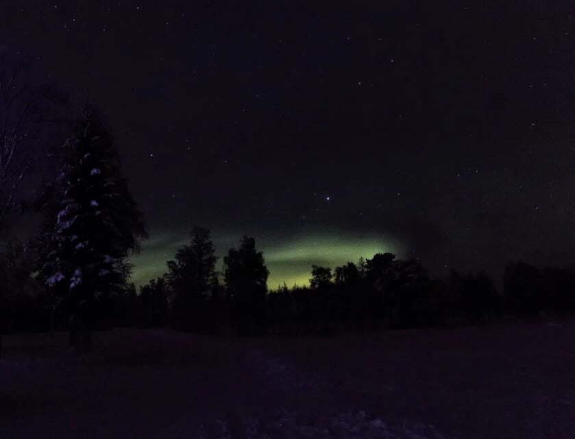 Rovaniemi: Aurora Hunting Tour in the Forest with Hot Drinks - Rovaniemi at night: why a guided forest hunt makes sense