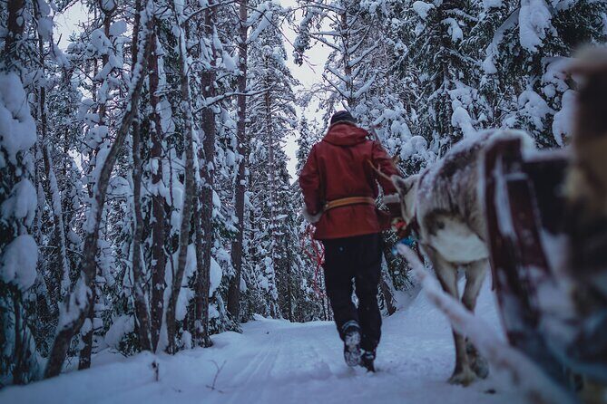 Rovaniemi: Authentic Lapland Reindeer Farm Visit & Sled Ride - Rovaniemi Reindeer Farm: What Makes This Sled Ride Feel Traditional