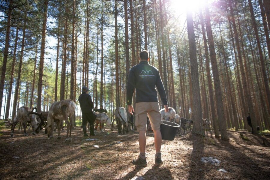 Rovaniemi: Authentic Reindeer Farm & Canoeing - Small-group reality: up to 8, English throughout, easy questions