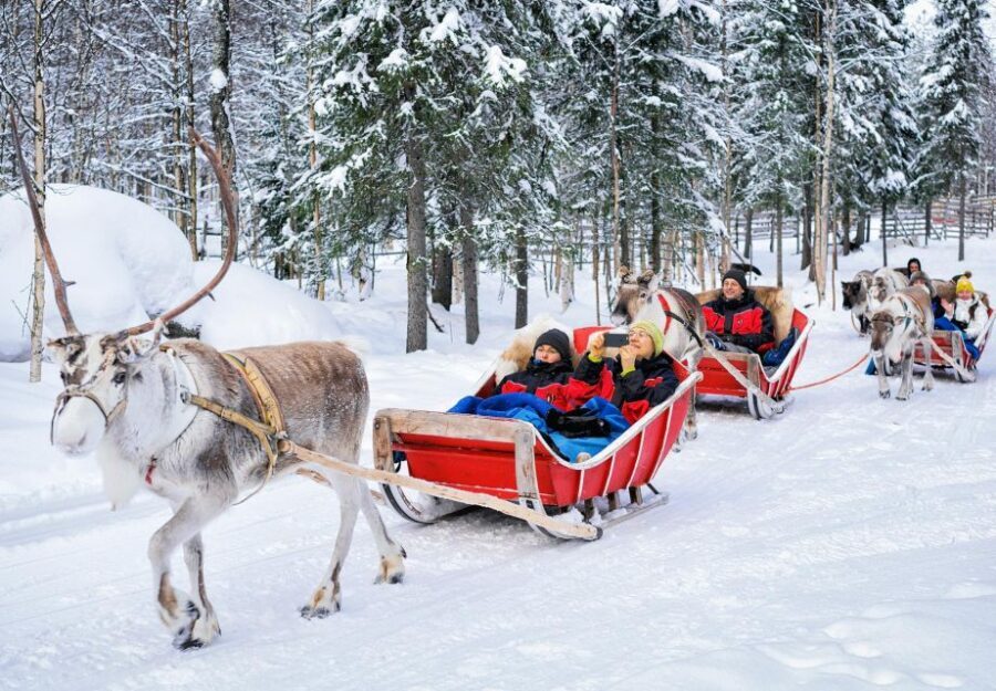 Rovaniemi: Authentic Reindeer Farm Visit & Short Sleigh Ride - Getting There: Pick-Up, Drop-Off, and the Cold-Weather Reality