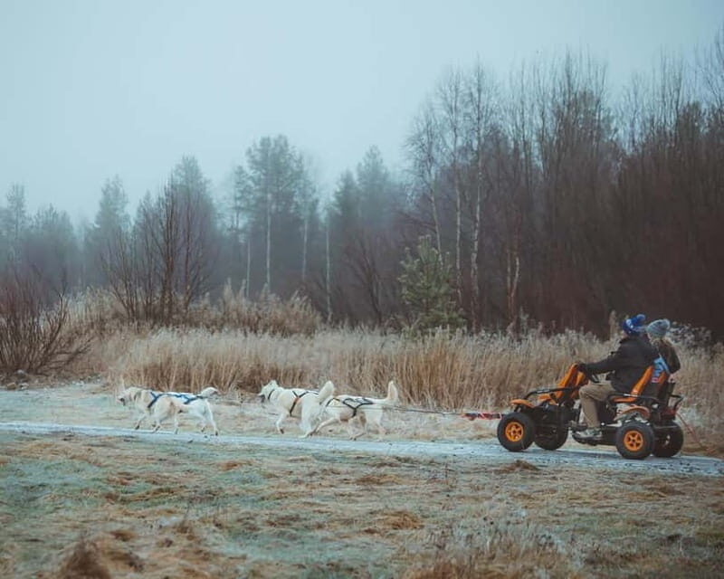 Rovaniemi: Autumn Husky Ride on Wheels - Timing in Real Life: How the 2 Hours Usually Land