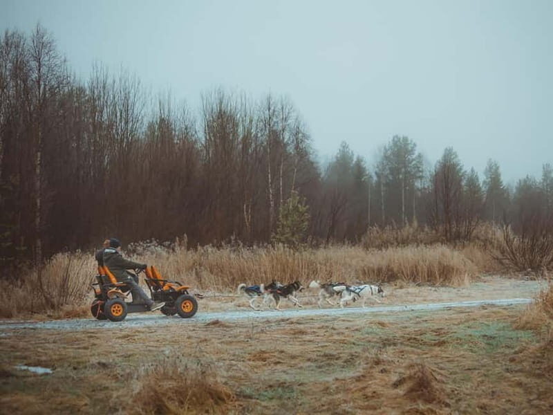 Rovaniemi: Autumn Husky Ride on Wheels - The 3 km Cart Ride: How Guiding Works and What You’ll Notice
