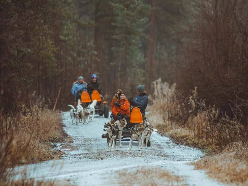 Rovaniemi: Autumn Husky Ride on Wheels - What to Bring (So You Don’t Spend the Ride Thinking About Yourself)