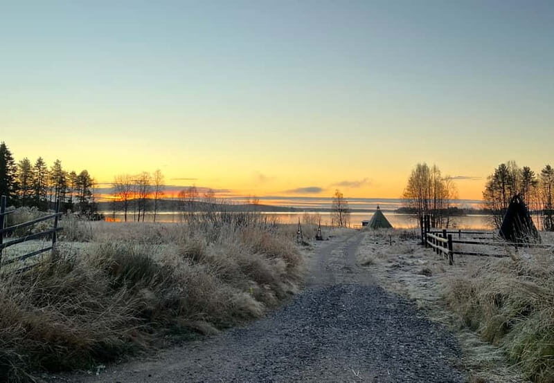 Rovaniemi: Autumn Husky Ride on Wheels - Price and What You Actually Get for $169