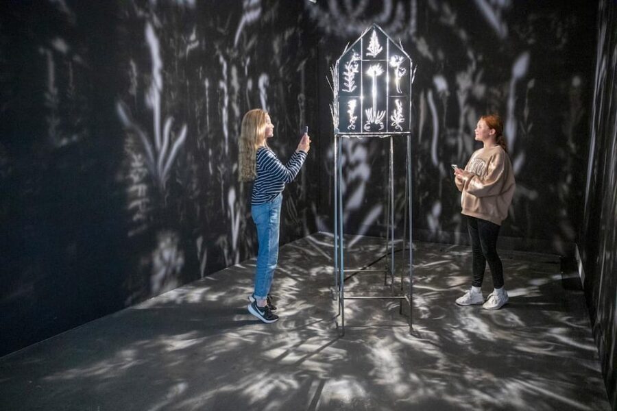 Rovaniemi: Culture Pass to Arktikum, Korundi, and Pilke - Should you book this Culture Pass to Arktikum, Korundi, and Pilke?