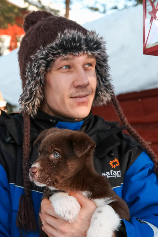 Rovaniemi: Daytime Husky Safari - Key highlights that matter