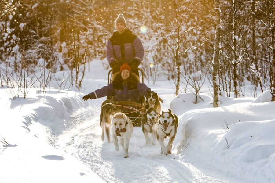 Rovaniemi: Daytime Husky Safari - What a 2-hour daytime Husky Safari is really like