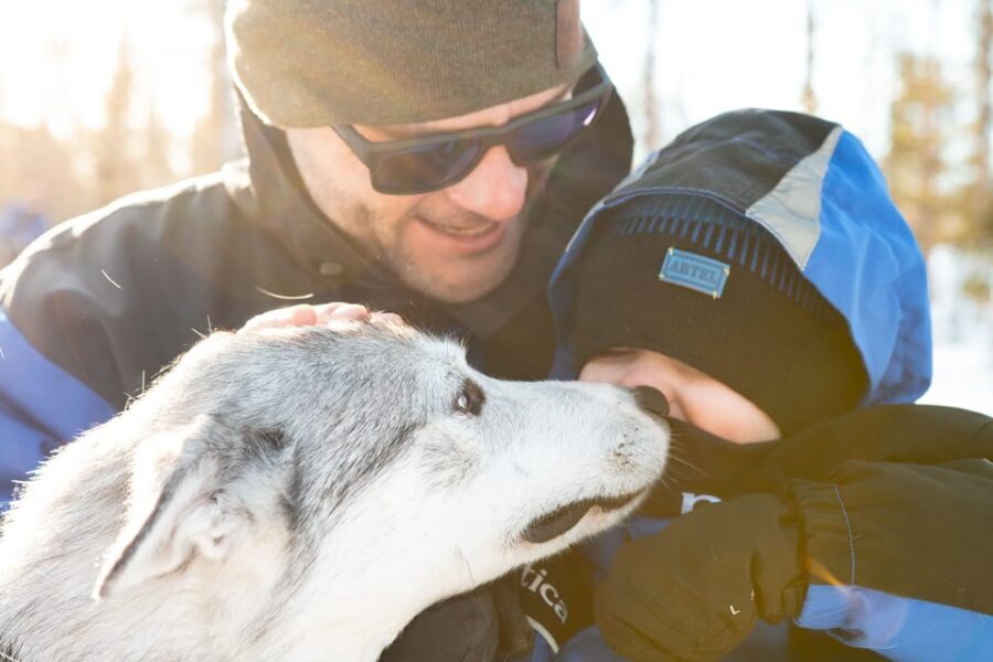 Rovaniemi: Daytime Husky Safari - Learning to steer: your husky sled is not a free-for-all