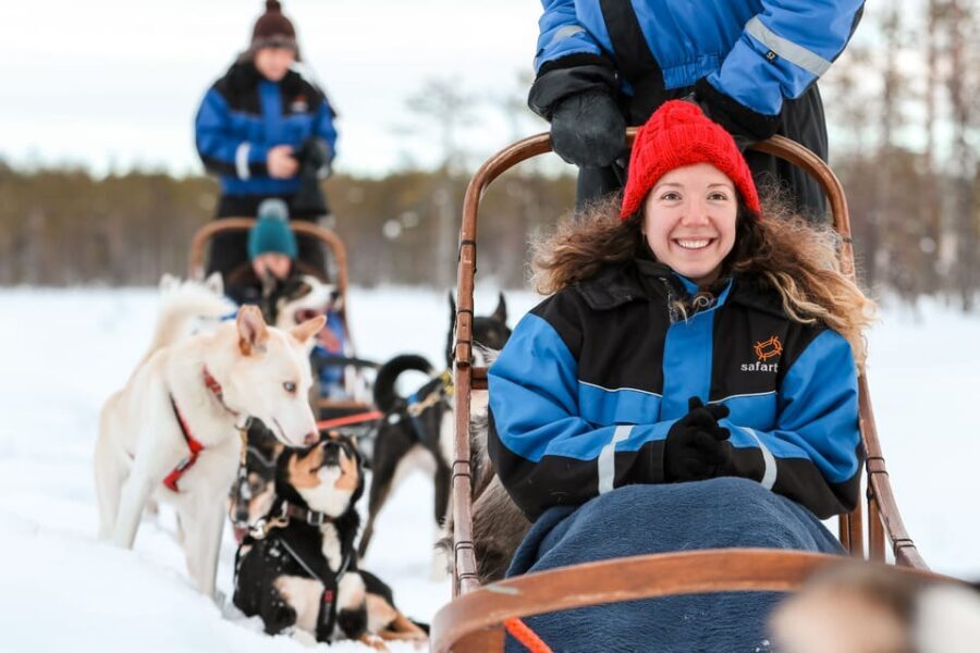 Rovaniemi: Daytime Husky Safari - Who this tour fits best