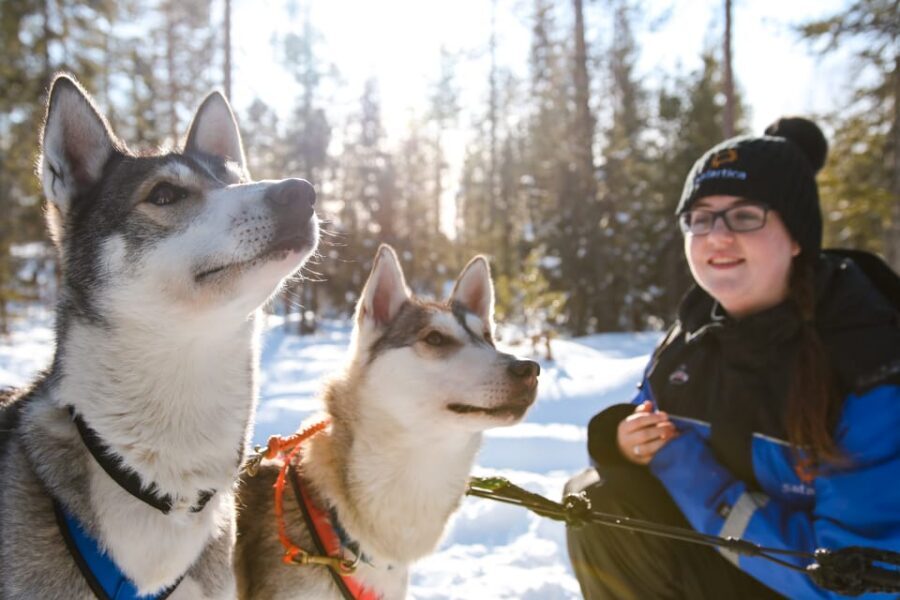 Rovaniemi: Daytime Husky Safari - Getting dressed for Lapland cold: what’s included and what you should bring