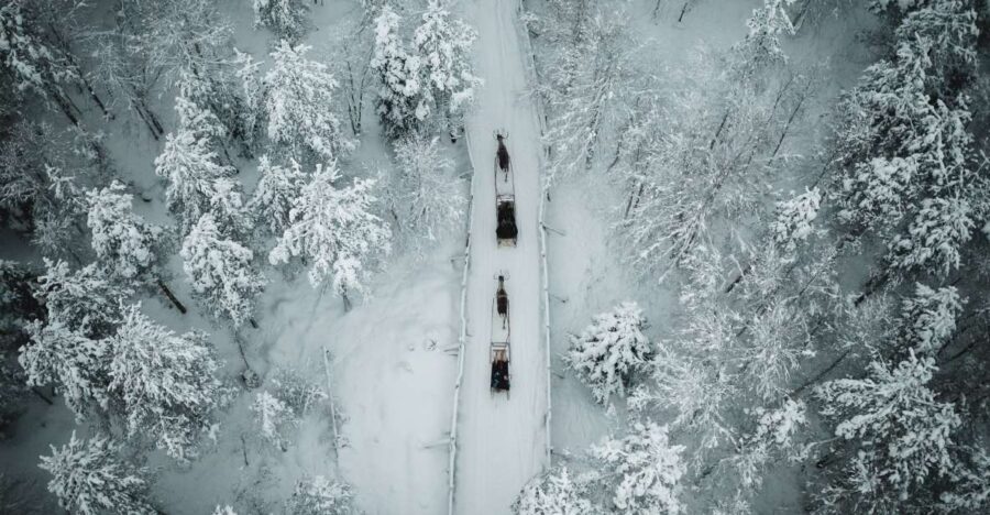 Rovaniemi: Daytime Reindeer Sleigh Ride - Entering the Day: How This 2-Hour Rovaniemi Ride Works