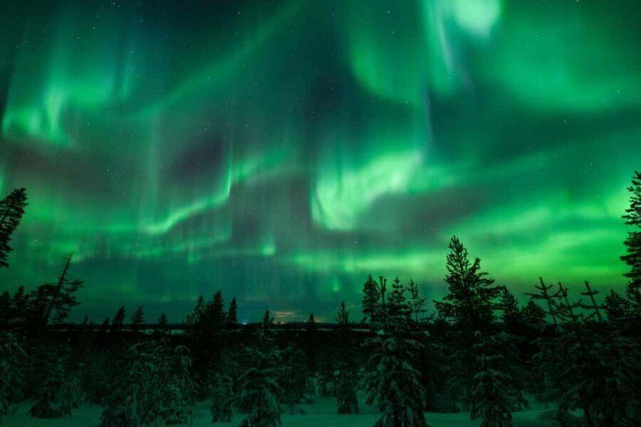Rovaniemi: Discover the Northern Lights Photography Tour - When the Sky Is Cloudy: Your Backup Night Plan