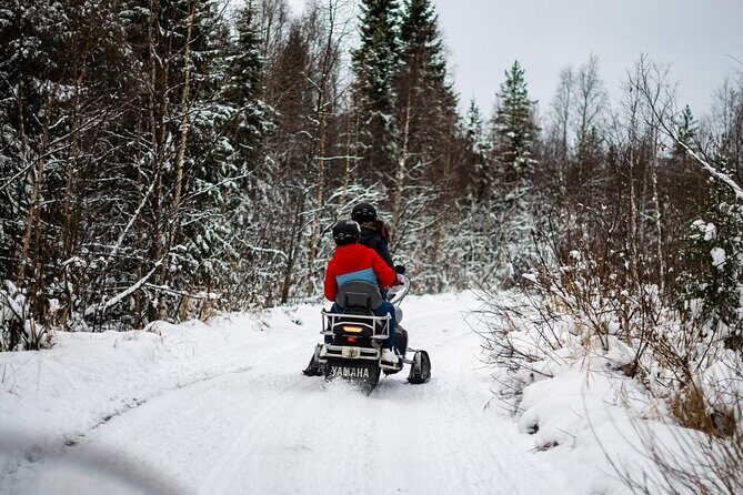 Rovaniemi: Drive New 2025 Snowmobiles on Arctic Safari & BBQ - Key Highlights You’ll Actually Care About