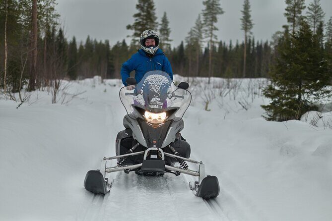 Rovaniemi: Drive New 2025 Snowmobiles on Arctic Safari & BBQ - The Self-Drive Hour on Private Arctic Trails