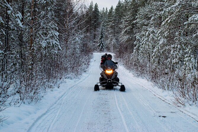 Rovaniemi: Drive New 2025 Snowmobiles on Arctic Safari & BBQ - Cozy Fire Break and BBQ That Actually Warms You