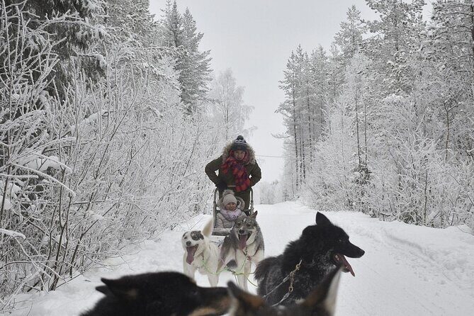 Rovaniemi: Drive Your Own Husky Team (6–10 km) & BBQ - Warming up with Lapland BBQ after the ride
