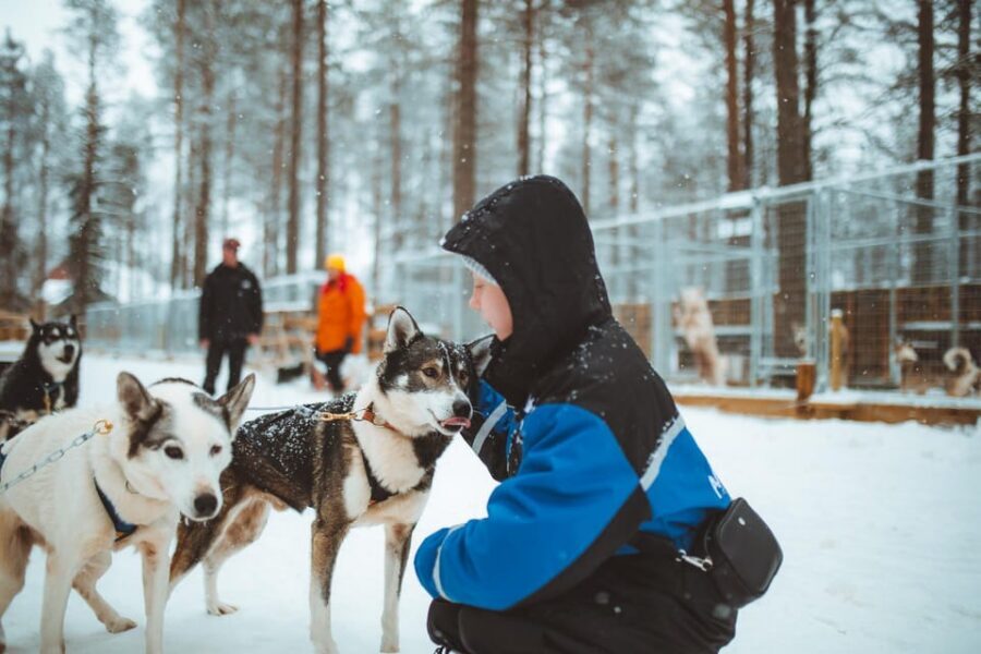 Rovaniemi: Early Winter Husky Sled Ride - Getting ready at Apukka Resort: timing, pickups, and what actually happens