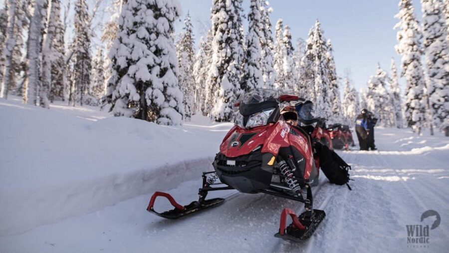 Rovaniemi: Easy Snowmobile Safari - Photo Ops in the Arctic Forest: Stops That Make the Ride Worth It
