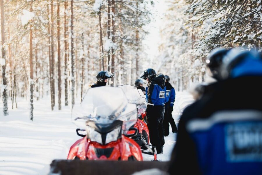 Rovaniemi: Easy Snowmobile Safari - Small Groups and Speed Control: Why This Tour Feels Manageable