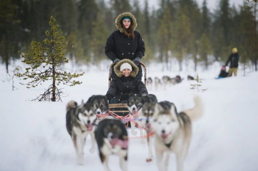 Rovaniemi: Family Friendly Husky Ride and Farm Visit - Price and Value: Does $128 Make Sense?