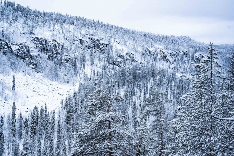 Rovaniemi: Frozen Waterfalls of Korouoma Canyon & Pro Photos - Pro Photos: Why This Included Service Is Actually Valuable
