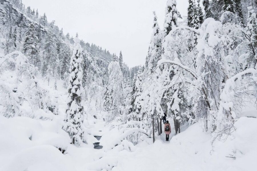 Rovaniemi: Frozen Waterfalls of Korouoma Canyon & Pro Photos - Getting From Rovaniemi to the Canyon Takes About 3 Hours Round-Trip